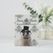 おもしろい結婚新郎の羊 案内ポストカード (スタンド正面)