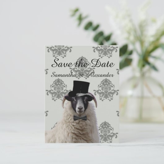 おもしろい結婚新郎の羊 案内ポストカード (スタンド正面)