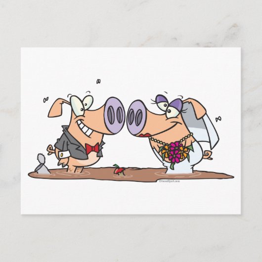 おもしろい結婚間抜け可愛い豚の新婦 ポストカード (正面)