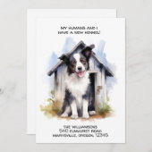 おもしろい縁どCollie Dog Moving Announce 案内状 (正面/裏面)