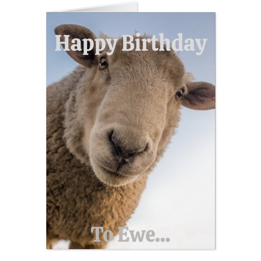 おもしろい羊Versatile Personalizable誕生日 (正面)