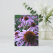 おもしろい花 ポストカード (スタンド正面)