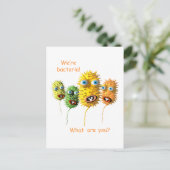 おもしろい菌 ポストカード (スタンド正面)