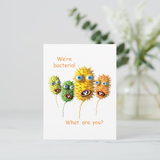 おもしろい菌 ポストカード (スタンド正面)