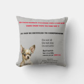 おもしろい華 クッション (正面)