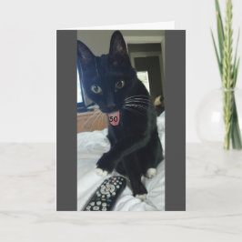 おもしろい誕生日カード50th cat カード