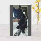 おもしろい誕生日カード50th cat カード (黄色い花)