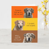 おもしろい誕生日カード カード (黄色い花)