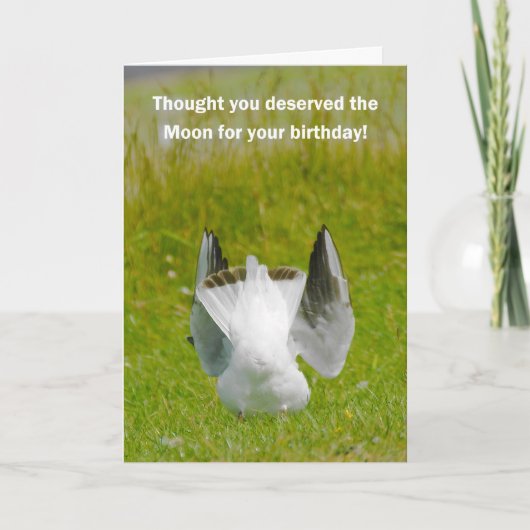 おもしろい誕生日カード – ムーンシーガル カード (正面)