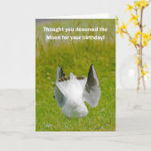 おもしろい誕生日カード – ムーンシーガル カード (黄色い花)