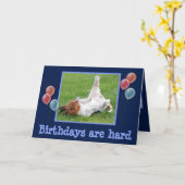 おもしろい誕生日カード/可愛いバスセット&シャンパン カード (黄色い花)