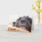 おもしろい誕生日カード – 犬の鼻 カード (黄色い花)