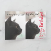 おもしろい誕生日猫カード カード (内部)