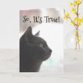 おもしろい誕生日猫カード カード (黄色い花)