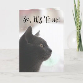 おもしろい誕生日猫カード カード
