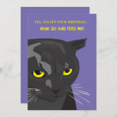 おもしろい誕生日猫カード、招待状 (正面/裏面)