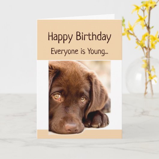 おもしろい誕生日老齢期の丘の上の犬 カード (黄色い花)