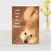 おもしろい誕生日、かわいい犬が誕生日の猫を望む カード (黄色い花)