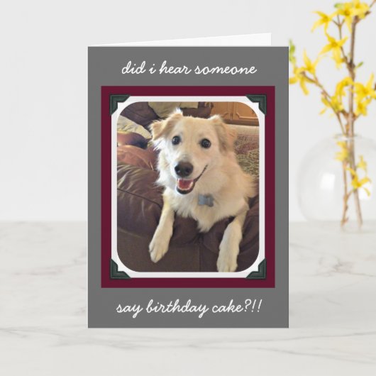 おもしろい誕生日、かわいい犬のお誕生日ケーキの願い カード (黄色い花)