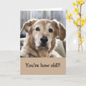 おもしろい誕生日 カード (黄色い花)