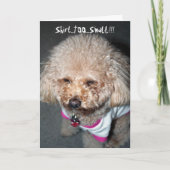 おもしろい誕生日 カード (正面)