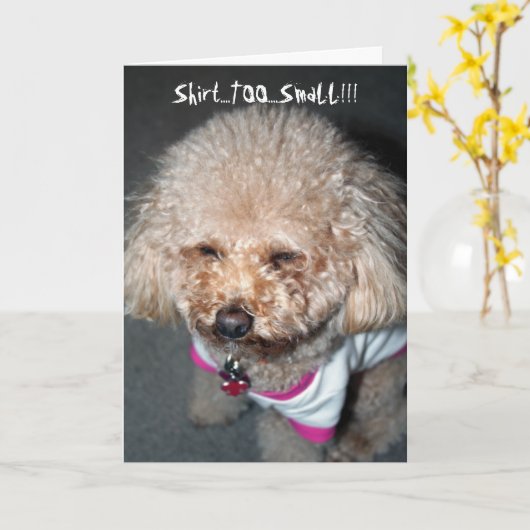 おもしろい誕生日 カード (黄色い花)