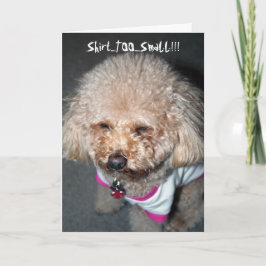 おもしろい誕生日 カード