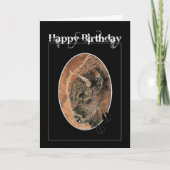 おもしろい誕生日、バイソン、バッファロー動物 カード (正面)