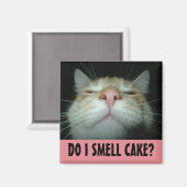 おもしろい誕生日CAT冷蔵庫用マグネット マグネット (正面/裏面)