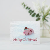 おもしろい豚はがき! ポストカード (スタンド正面)