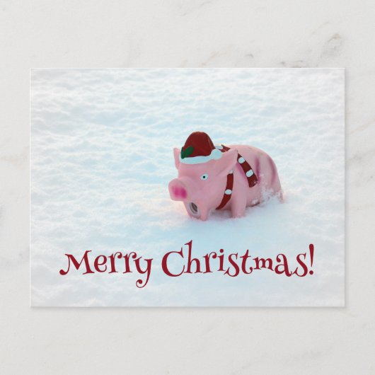 おもしろい豚はがき! ポストカード (正面)