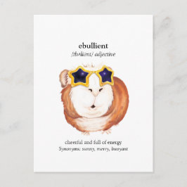 おもしろい辞書ギニピグはがき ポストカード