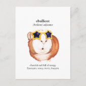 おもしろい辞書ギニピグはがき ポストカード (正面)