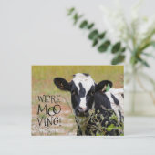 「おもしろい逃げモーてる！」 動くアナウンス牛 ポストカード (スタンド正面)