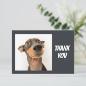 おもしろい間抜けショックを受けた犬ありがとう サンキューカード (スタンド正面)