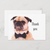 おもしろい間抜けプフォーマルグ犬ありがとう サンキューカード (正面/裏面)