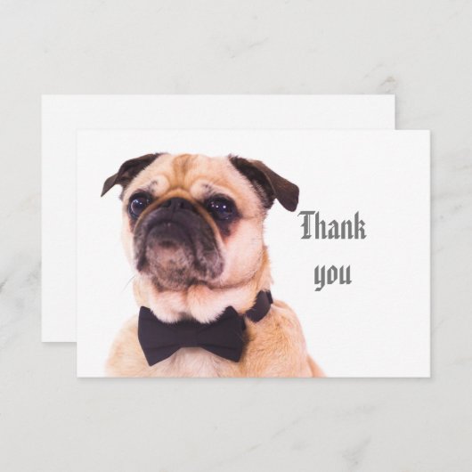 おもしろい間抜けプフォーマルグ犬ありがとう サンキューカード (正面/裏面)