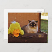 おもしろい鞄に鴨を入れた猫 ポストカード (正面/裏面)