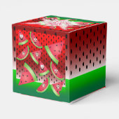 おもしろい顔スイカ誕生日 フェイバーボックス (裏面サイド)