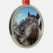 おもしろい顔茶色の馬 メタルオーナメント (右)