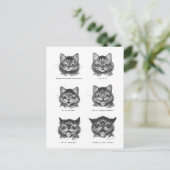 おもしろい顔・オブ・キャット・ルイス・ウェイン ポストカード (スタンド正面)