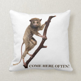 おもしろい風変わり腸様猿 | 大きな目 クッション