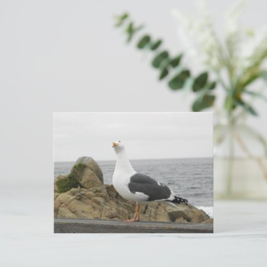 おもしろい首を傾げたフクロウ ポストカード (スタンド正面)