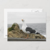 おもしろい首を傾げたフクロウ ポストカード (正面/裏面)