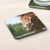 おもしろい馬の顔は、目がカールした熱狂する唇 コースター (左側)