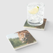 おもしろい馬の顔は、目がカールした熱狂する唇 ストーンコースター (横)