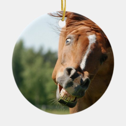 おもしろい馬の顔は、目がカールした熱狂する唇 セラミックオーナメント (正面)
