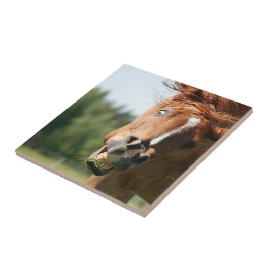 おもしろい馬の顔は、目がカールした熱狂する唇 タイル (側面)