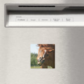 おもしろい馬の顔は、目がカールした熱狂する唇 マグネット (インサイチュ (食洗機))