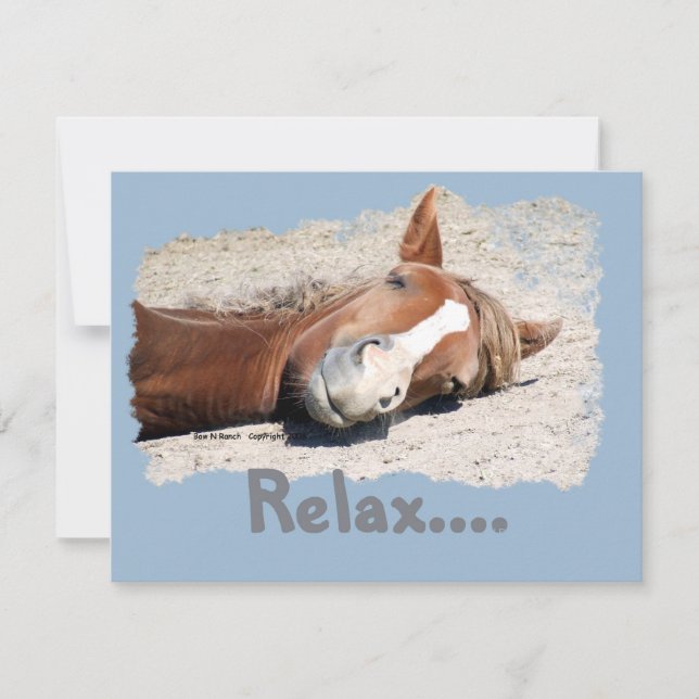 おもしろい馬リラックス:  (正面)